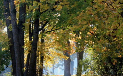 12_Žagarės dvaro parkas1.jpg